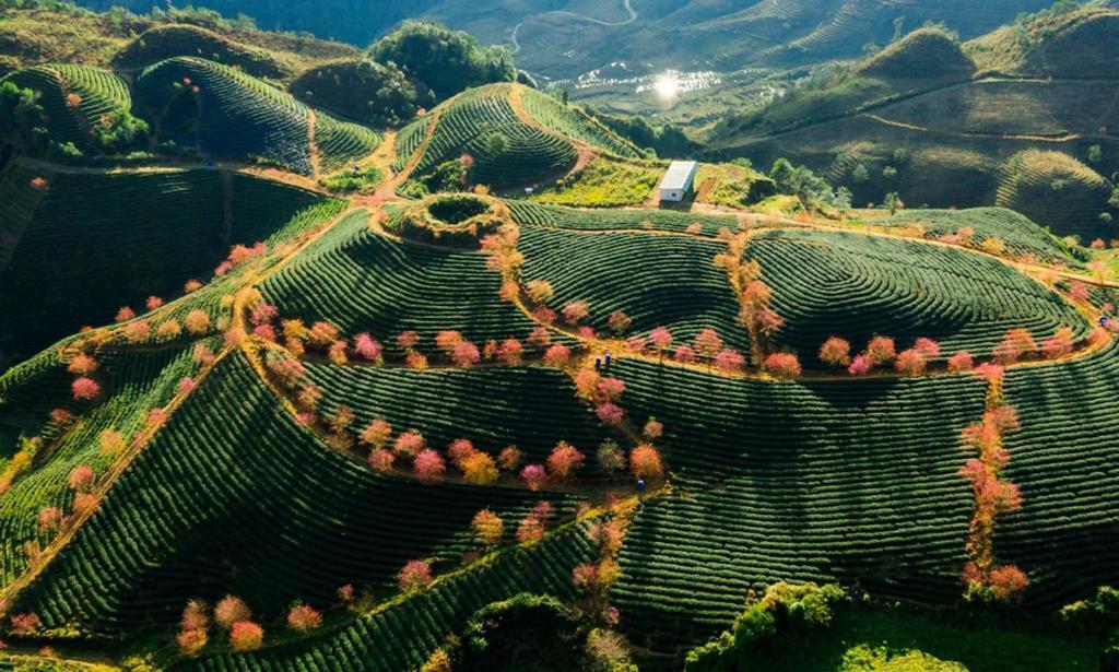 Sapa Dao Homestay Exteriör bild