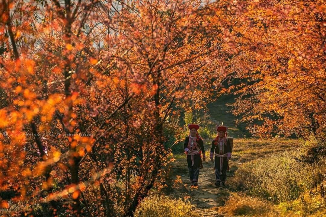 Sapa Dao Homestay Exteriör bild