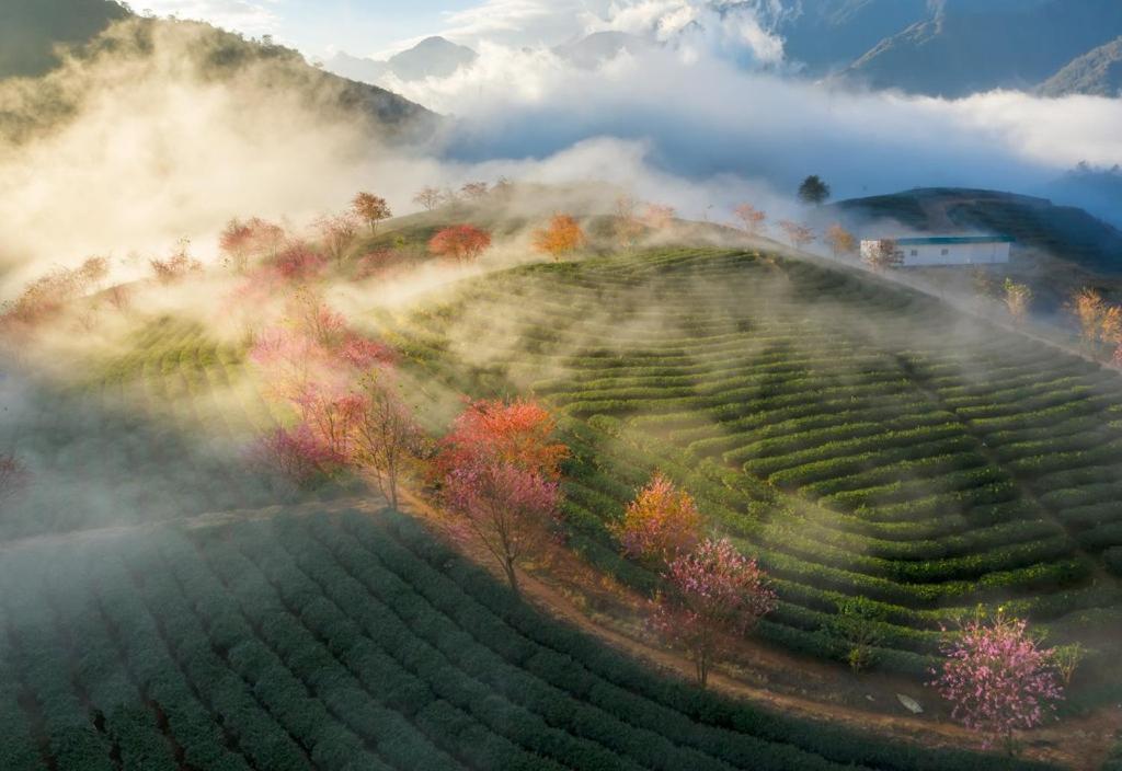 Sapa Dao Homestay Exteriör bild