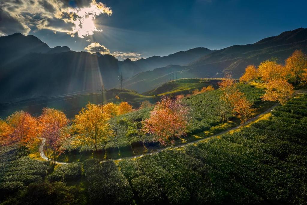 Sapa Dao Homestay Exteriör bild