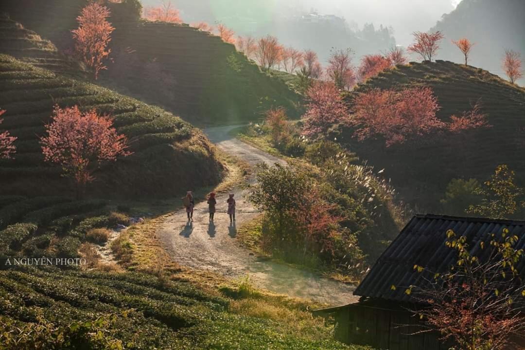 Sapa Dao Homestay Exteriör bild